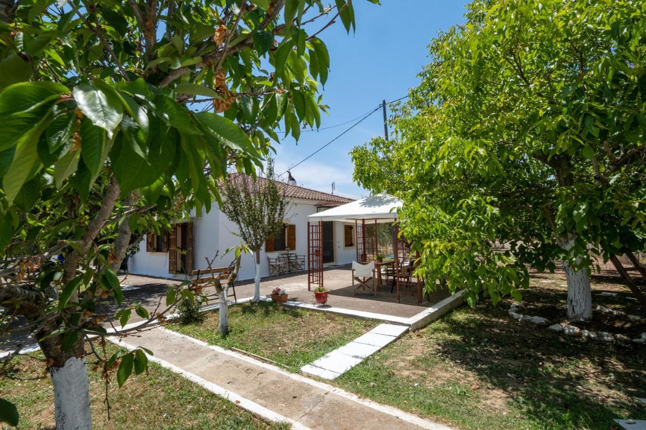 Nagia'S House, Εξοχική Κατοικία Κοντά Στη Θάλασσα! Korakokhórion Exterior foto